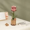 Robotime Pink Rose - Roze Roos TW041 sfeer