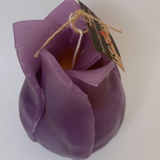 Kaarsen tulpkaars binnen paars