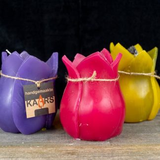 kaarsen Tulp binnenkaars